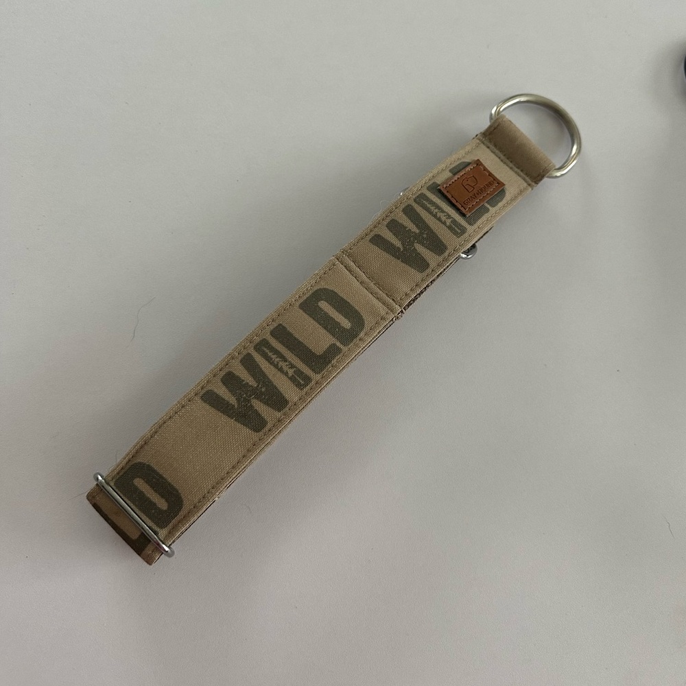 Slip on dog collar